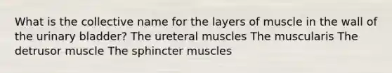 What is the collective name for the layers of muscle in the wall of the urinary bladder? The ureteral muscles The muscularis The detrusor muscle The sphincter muscles