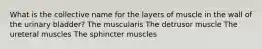 What is the collective name for the layers of muscle in the wall of the urinary bladder? The muscularis The detrusor muscle The ureteral muscles The sphincter muscles