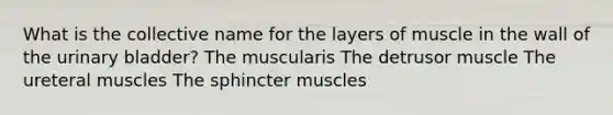 What is the collective name for the layers of muscle in the wall of the <a href='https://www.questionai.com/knowledge/kb9SdfFdD9-urinary-bladder' class='anchor-knowledge'>urinary bladder</a>? The muscularis The detrusor muscle The ureteral muscles The sphincter muscles