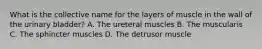 What is the collective name for the layers of muscle in the wall of the urinary bladder? A. The ureteral muscles B. The muscularis C. The sphincter muscles D. The detrusor muscle