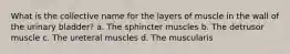 What is the collective name for the layers of muscle in the wall of the urinary bladder? a. The sphincter muscles b. The detrusor muscle c. The ureteral muscles d. The muscularis