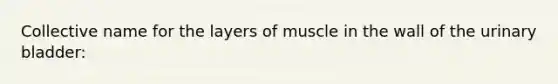 Collective name for the layers of muscle in the wall of the urinary bladder: