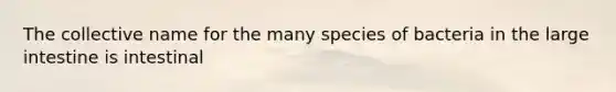 The collective name for the many species of bacteria in the large intestine is intestinal