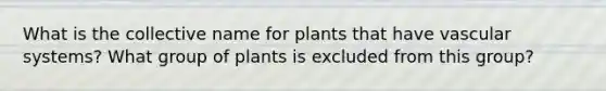 What is the collective name for plants that have vascular systems? What group of plants is excluded from this group?