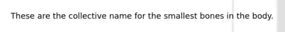 These are the collective name for the smallest bones in the body.