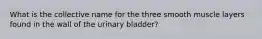 What is the collective name for the three smooth muscle layers found in the wall of the urinary bladder?