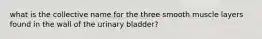 what is the collective name for the three smooth muscle layers found in the wall of the urinary bladder?