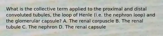 What is the collective term applied to the proximal and distal convoluted tubules, the loop of Henle (i.e. the nephron loop) and the glomerular capsule? A. The renal corpuscle B. The renal tubule C. The nephron D. The renal capsule