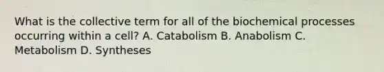 What is the collective term for all of the biochemical processes occurring within a cell? A. Catabolism B. Anabolism C. Metabolism D. Syntheses
