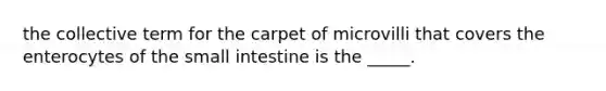 the collective term for the carpet of microvilli that covers the enterocytes of the small intestine is the _____.