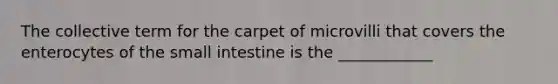 The collective term for the carpet of microvilli that covers the enterocytes of the small intestine is the ____________