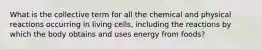 What is the collective term for all the chemical and physical reactions occurring in living cells, including the reactions by which the body obtains and uses energy from foods?