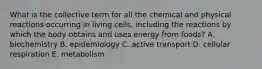 What is the collective term for all the chemical and physical reactions occurring in living cells, including the reactions by which the body obtains and uses energy from foods? A. biochemistry B. epidemiology C. active transport D. cellular respiration E. metabolism