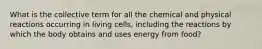 What is the collective term for all the chemical and physical reactions occurring in living cells, including the reactions by which the body obtains and uses energy from food?