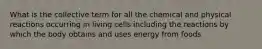 What is the collective term for all the chemical and physical reactions occurring in living cells including the reactions by which the body obtains and uses energy from foods