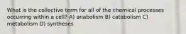 What is the collective term for all of the chemical processes occurring within a cell? A) anabolism B) catabolism C) metabolism D) syntheses
