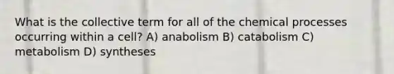 What is the collective term for all of the chemical processes occurring within a cell? A) anabolism B) catabolism C) metabolism D) syntheses