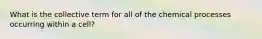 What is the collective term for all of the chemical processes occurring within a cell?