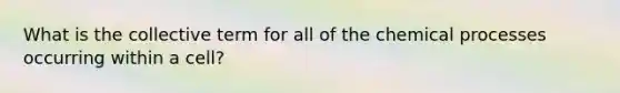 What is the collective term for all of the chemical processes occurring within a cell?