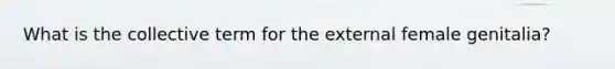 What is the collective term for the external female genitalia?