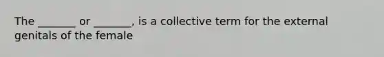 The _______ or _______, is a collective term for the external genitals of the female