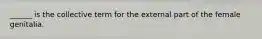 ______ is the collective term for the external part of the female genitalia.