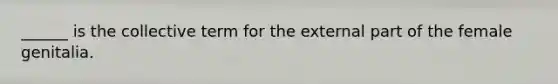 ______ is the collective term for the external part of the female genitalia.