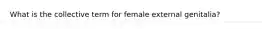 What is the collective term for female external genitalia?