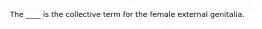 The ____ is the collective term for the female external genitalia.