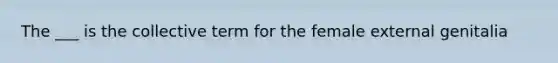 The ___ is the collective term for the female external genitalia