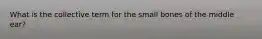 What is the collective term for the small bones of the middle ear?