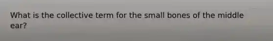 What is the collective term for the small bones of the middle ear?