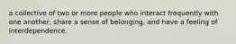 a collective of two or more people who interact frequently with one another, share a sense of belonging, and have a feeling of interdependence.