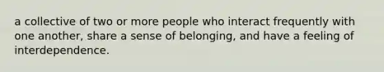 a collective of two or more people who interact frequently with one another, share a sense of belonging, and have a feeling of interdependence.