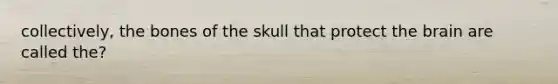 collectively, the bones of the skull that protect the brain are called the?