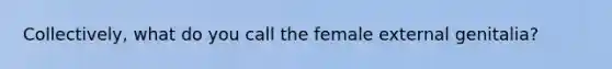 Collectively, what do you call the female external genitalia?