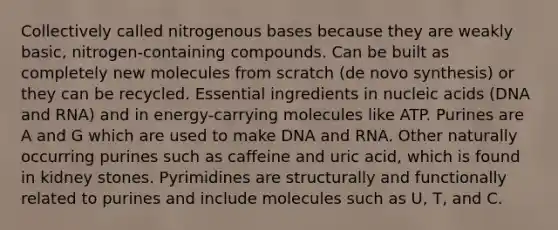 Collectively called nitrogenous bases because they are weakly basic, nitrogen-containing compounds. Can be built as completely new molecules from scratch (de novo synthesis) or they can be recycled. Essential ingredients in nucleic acids (DNA and RNA) and in energy-carrying molecules like ATP. Purines are A and G which are used to make DNA and RNA. Other naturally occurring purines such as caffeine and uric acid, which is found in kidney stones. Pyrimidines are structurally and functionally related to purines and include molecules such as U, T, and C.