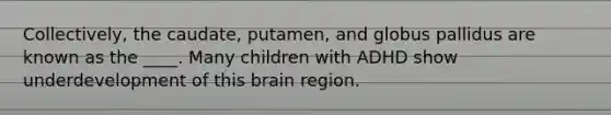 Collectively, the caudate, putamen, and globus pallidus are known as the ____. Many children with ADHD show underdevelopment of this brain region.