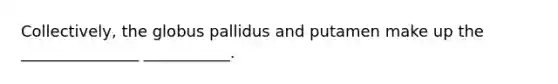 Collectively, the globus pallidus and putamen make up the _______________ ___________.