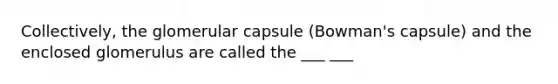 Collectively, the glomerular capsule (Bowman's capsule) and the enclosed glomerulus are called the ___ ___