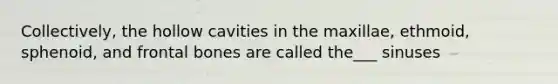 Collectively, the hollow cavities in the maxillae, ethmoid, sphenoid, and frontal bones are called the___ sinuses