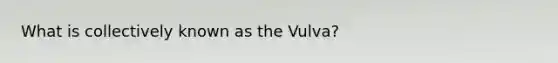 What is collectively known as the Vulva?