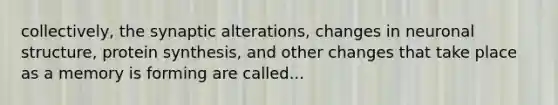 collectively, the synaptic alterations, changes in neuronal structure, protein synthesis, and other changes that take place as a memory is forming are called...