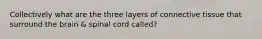 Collectively what are the three layers of connective tissue that surround the brain & spinal cord called?