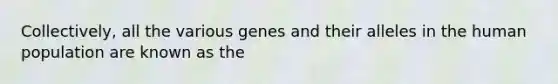 Collectively, all the various genes and their alleles in the human population are known as the