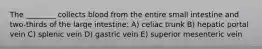 The ________ collects blood from the entire small intestine and two-thirds of the large intestine: A) celiac trunk B) hepatic portal vein C) splenic vein D) gastric vein E) superior mesenteric vein