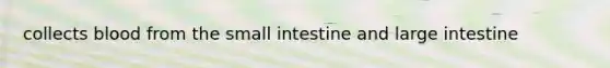 collects blood from the small intestine and large intestine