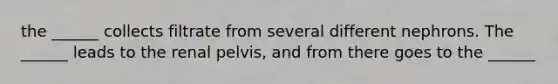 the ______ collects filtrate from several different nephrons. The ______ leads to the renal pelvis, and from there goes to the ______