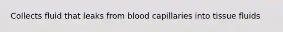 Collects fluid that leaks from blood capillaries into tissue fluids