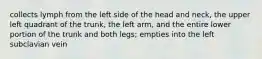 collects lymph from the left side of the head and neck, the upper left quadrant of the trunk, the left arm, and the entire lower portion of the trunk and both legs; empties into the left subclavian vein